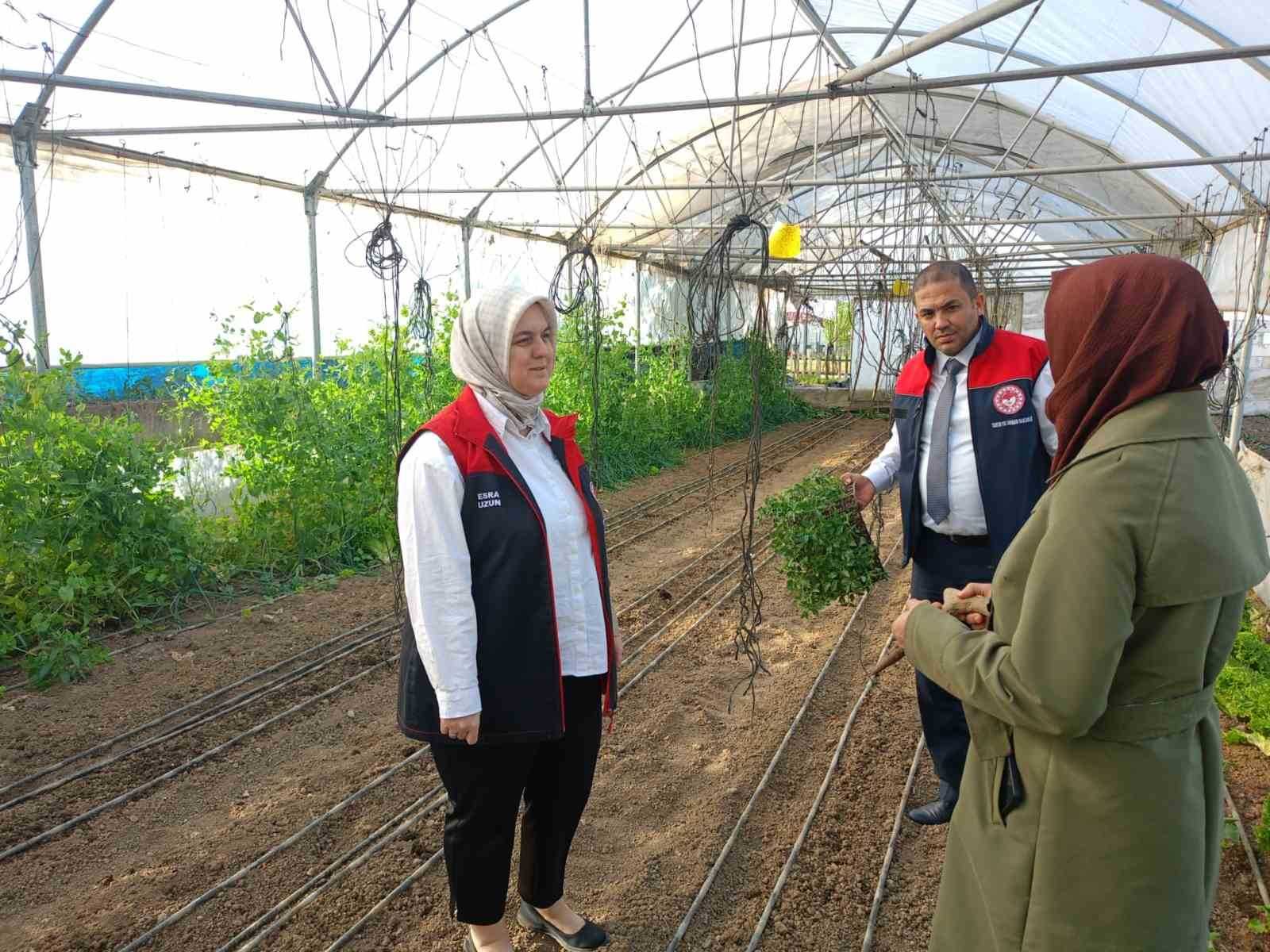 Tarımda 2026 Destekleri Açıklandı: Genç ve Kadın Çiftçilere Yeni Fırsatlar