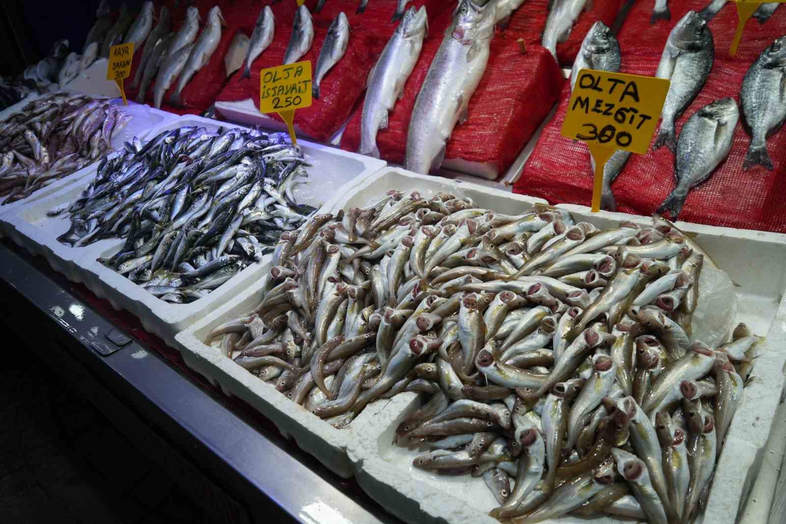 Sezonun ilk balıkları tezgahlarda