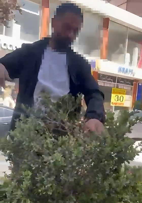Van’da çevreye zarar veren şahıs zabıta tarafından yakalandı