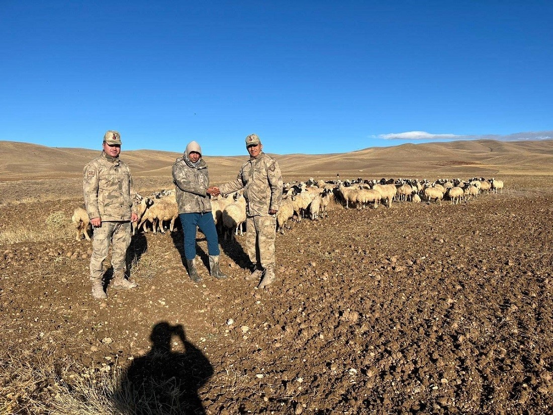 Kaybolan hayvanlar drone ile bulundu
