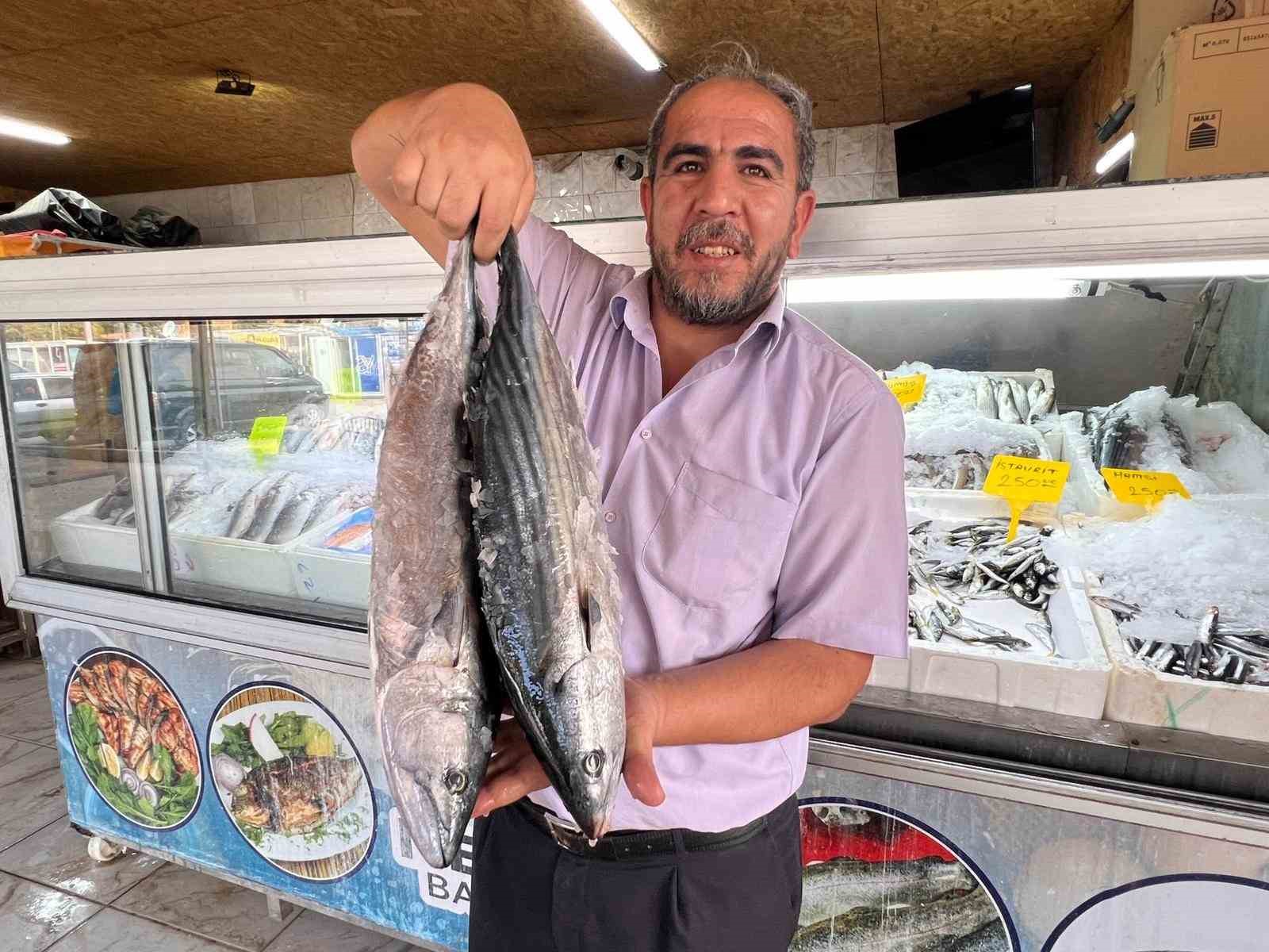 Deprem sonrası Kahramanmaraş’tan 54 ülkeye balık ihracatı