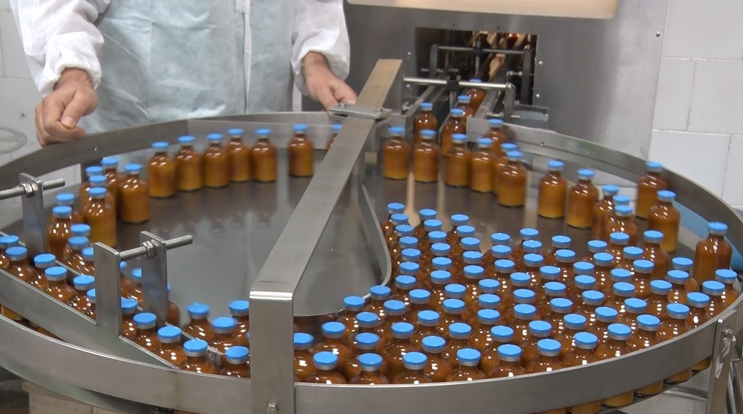 Şap hastalığı ile mücadelede üretilen aşılar hem Türkiye’ye hem de komşu ülkelere deva oluyor