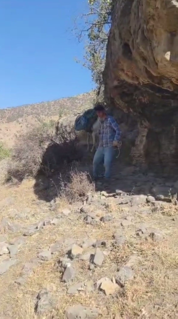 Uludere’de zorlu kaya ıslahı: Malzemeler katırlarla zirveye taşınıyor