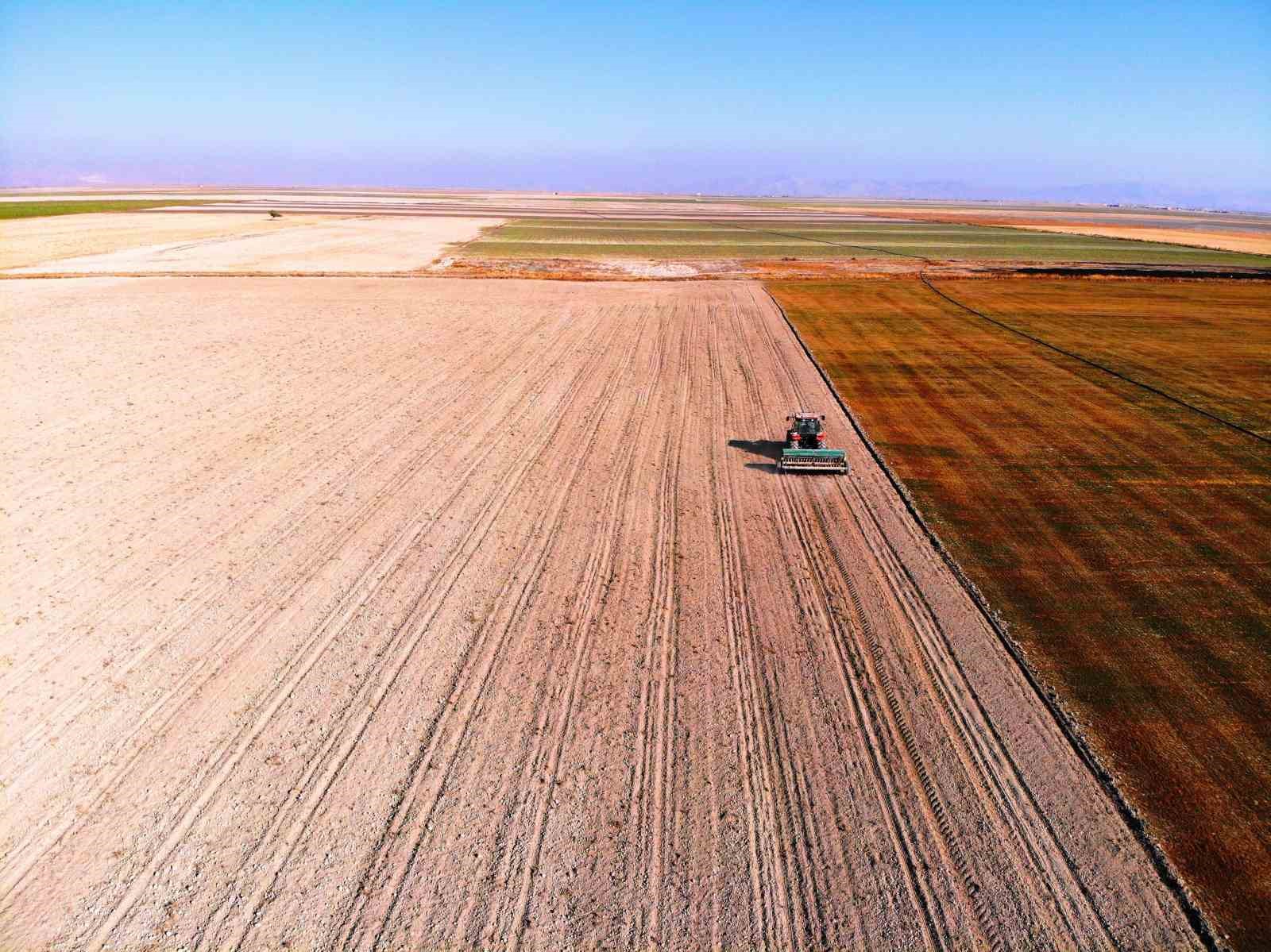 ‘Kiralık tarla’ uygulaması başladı, uzmanlardan uyarı geldi
