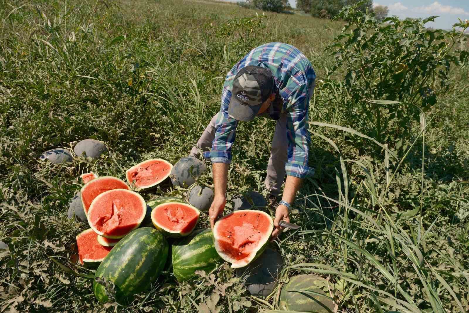 Iphone 17 almak için 30 tır karpuz ya da 2 tır domates satmak gerekiyor