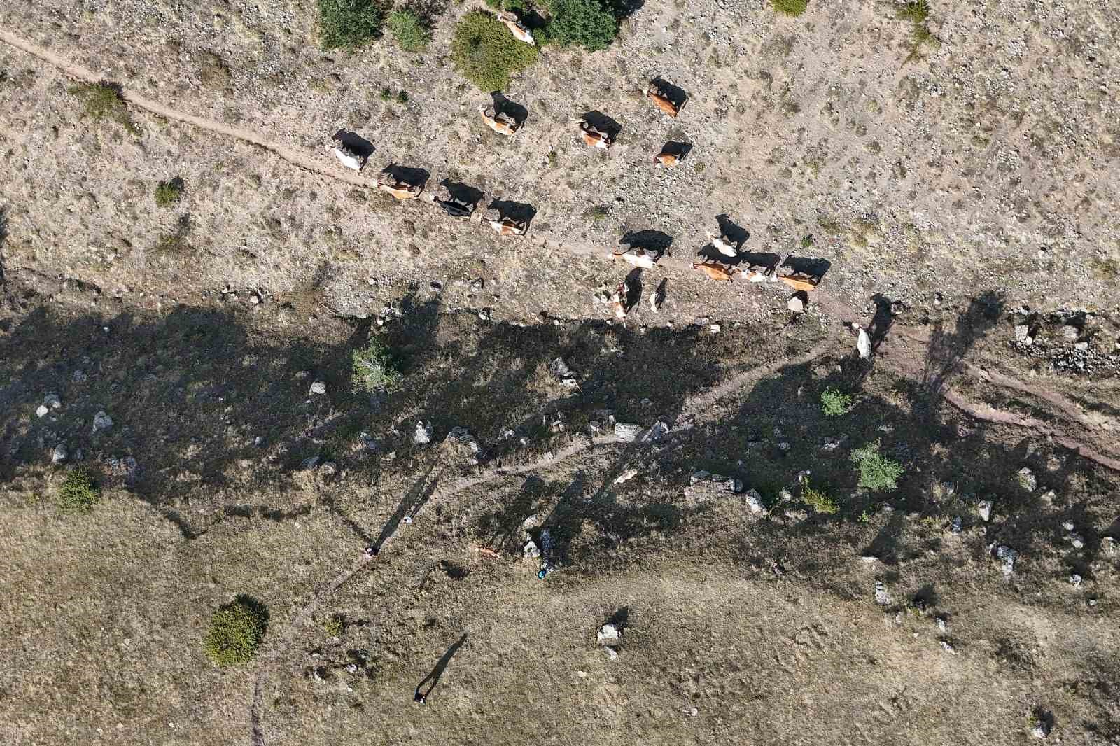 Gümüşhane’de genç muhtarın Türkiye’ye ilham veren başarı hikayesi