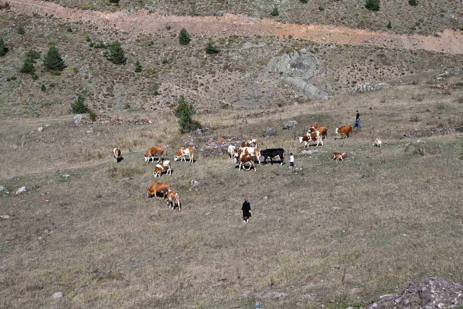 Gümüşhane’de genç muhtarın Türkiye’ye ilham veren başarı hikayesi