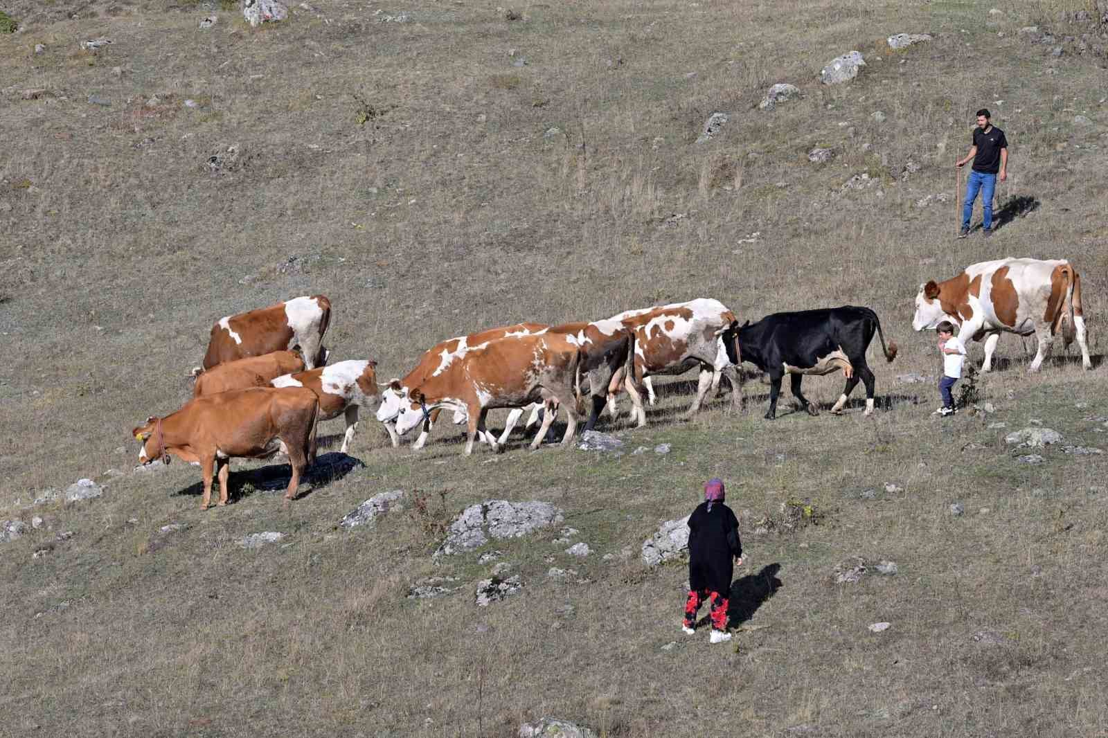 Gümüşhane’de genç muhtarın Türkiye’ye ilham veren başarı hikayesi