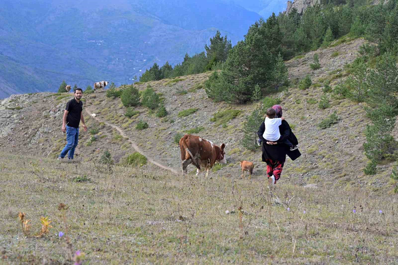 Gümüşhane’de genç muhtarın Türkiye’ye ilham veren başarı hikayesi