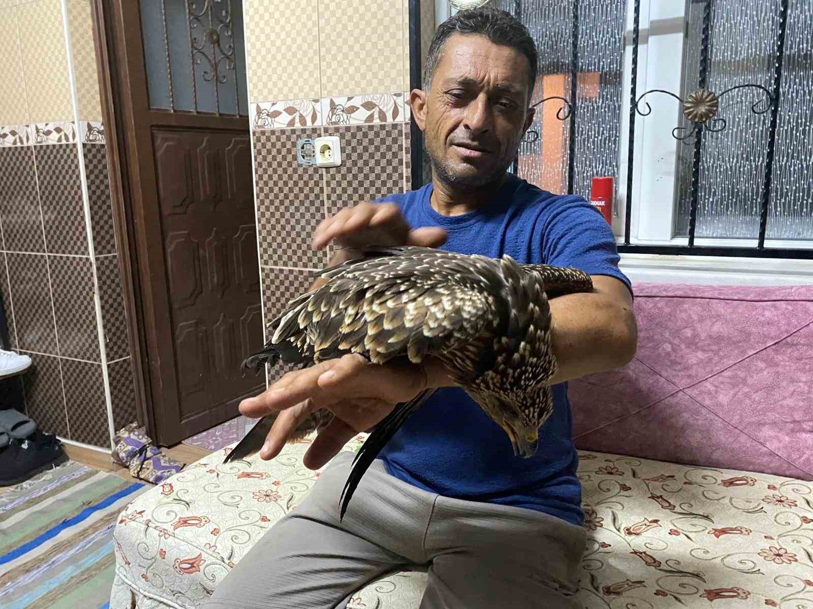 Bulduğu şahine ciğer dürüm söyledi