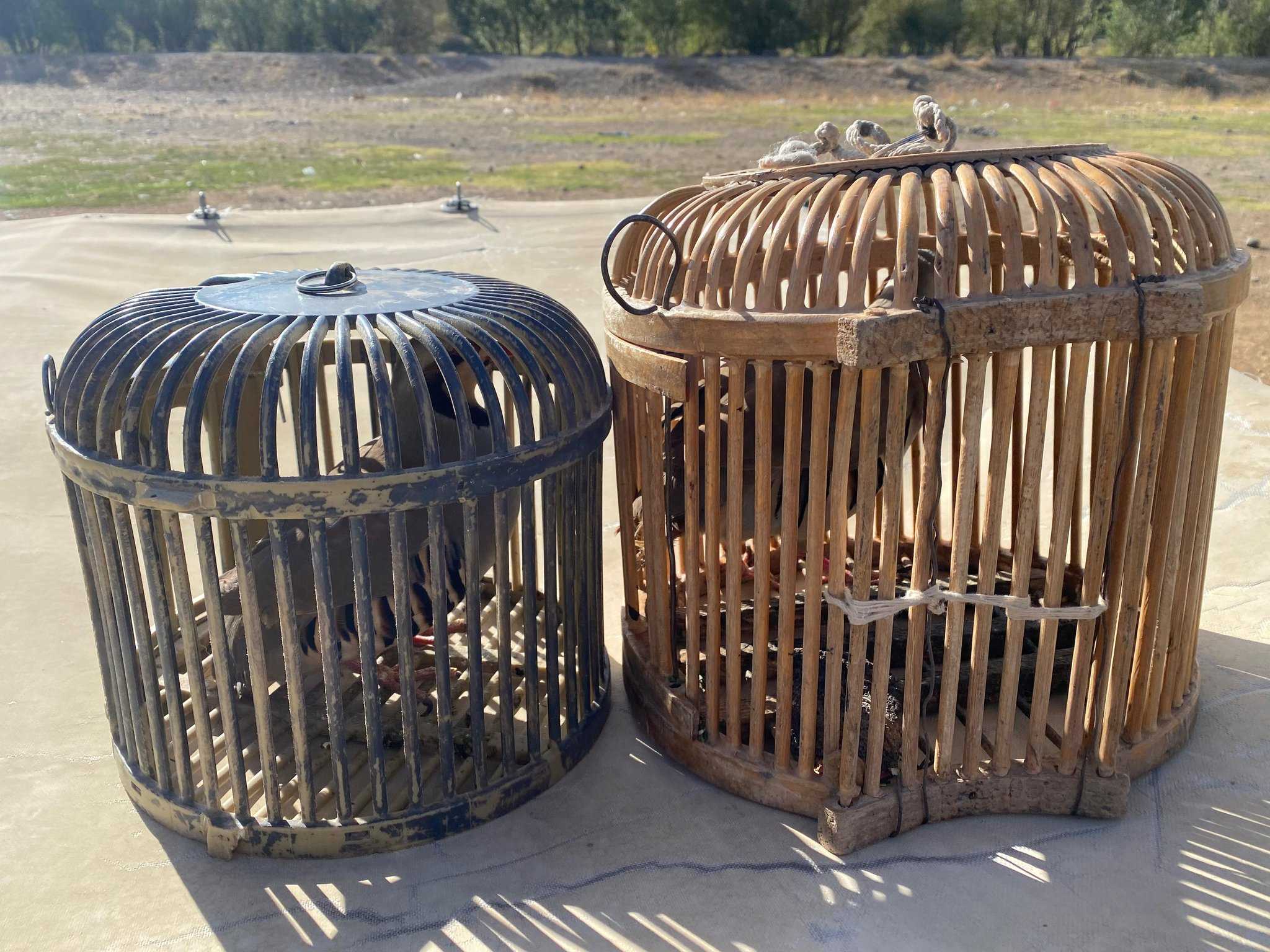 Van’da kafes avcılığı yapan şahsa 48 bin lira ceza