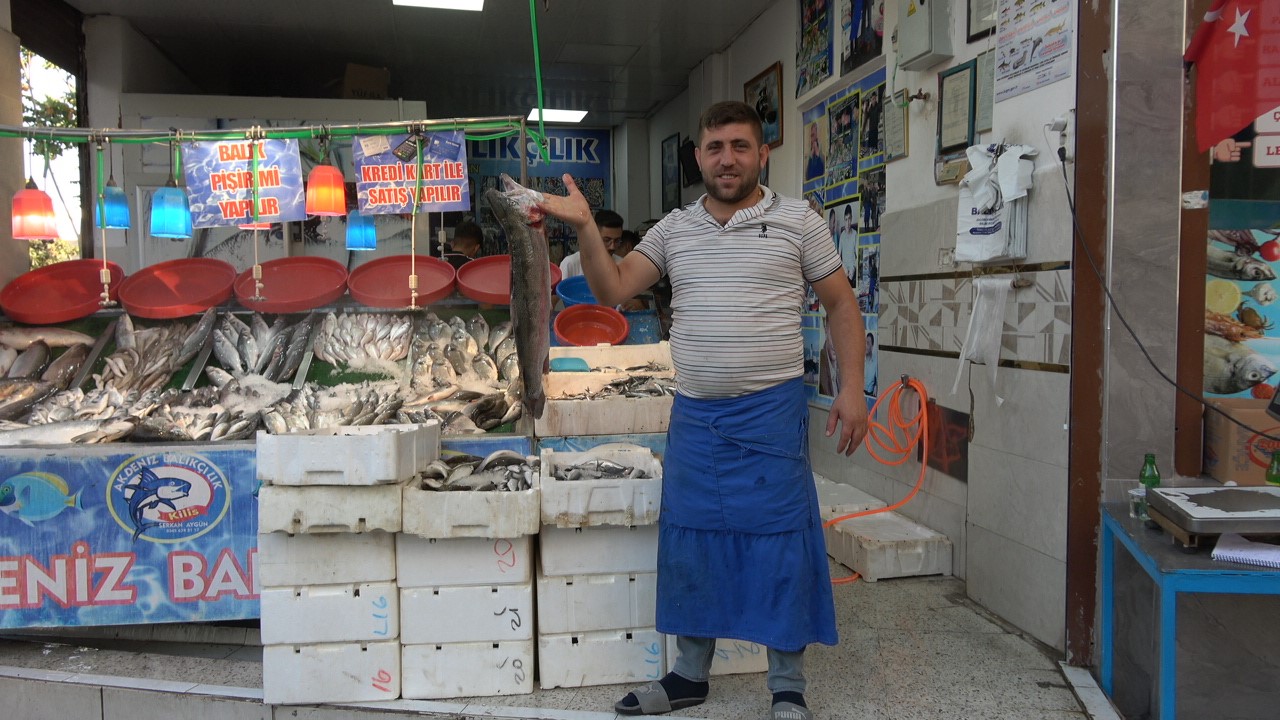 Balık sezonu açıldı, halk et ve tavuktan balığa yöneldi