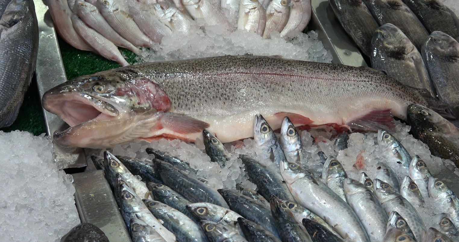 Balık sezonu açıldı, halk et ve tavuktan balığa yöneldi
