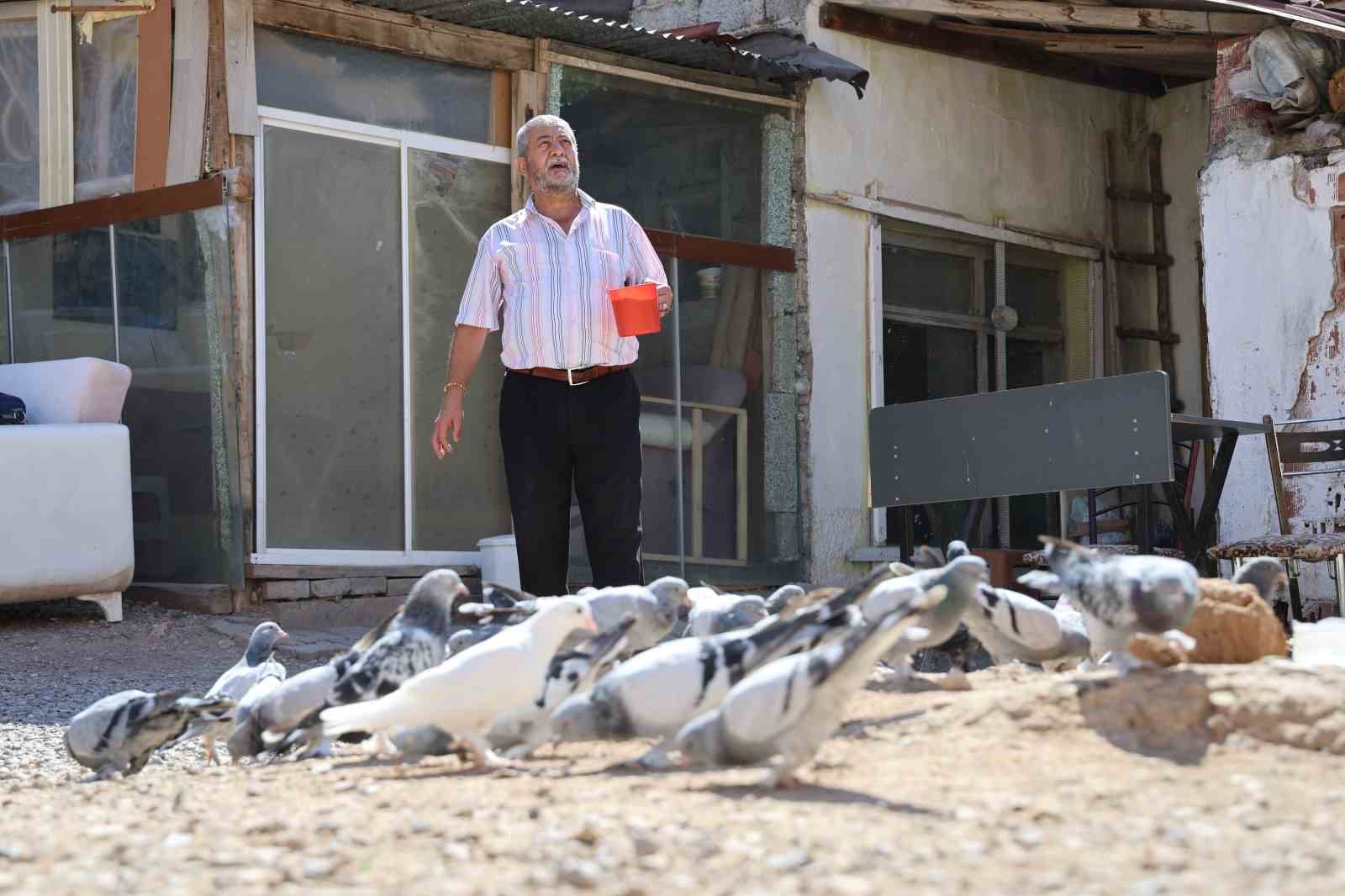 Banka kasası değil güvercin kümesi