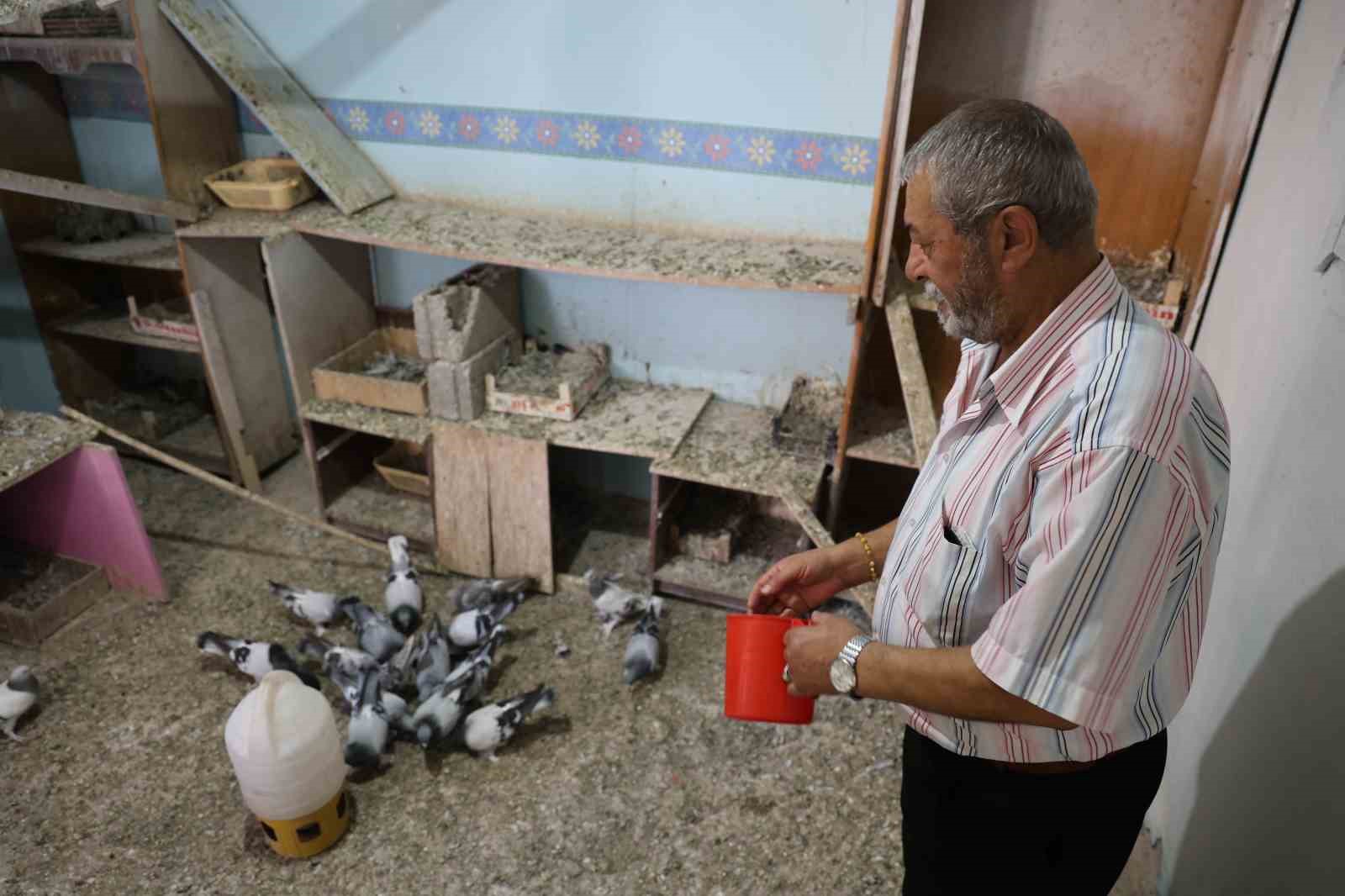 Banka kasası değil güvercin kümesi