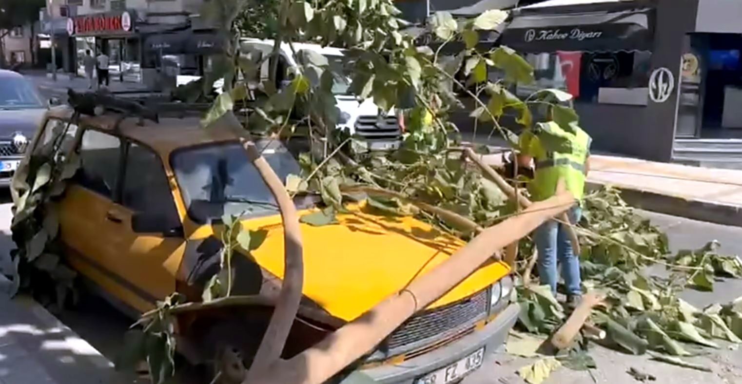 Ağaç dalı park halindeki aracın üzerine düştü