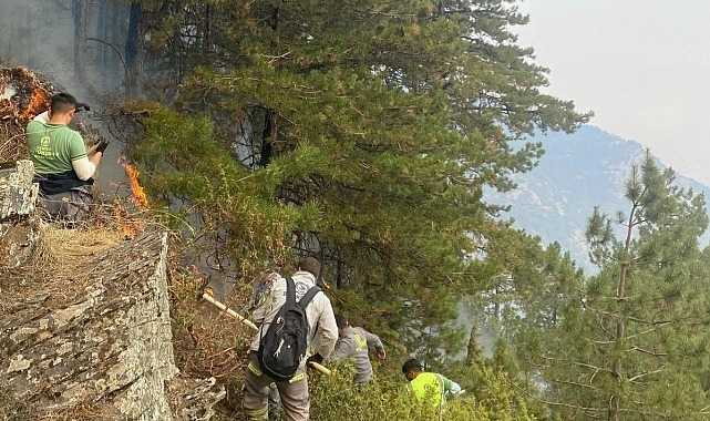 Orman gönüllüleri AFAD ve Kızılay gönüllüleri ile aynı haklardan faydalanacak
