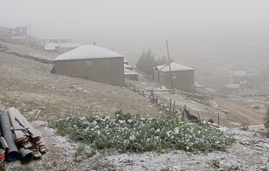 Doğu Karadeniz’de kar yağışı etkili oldu