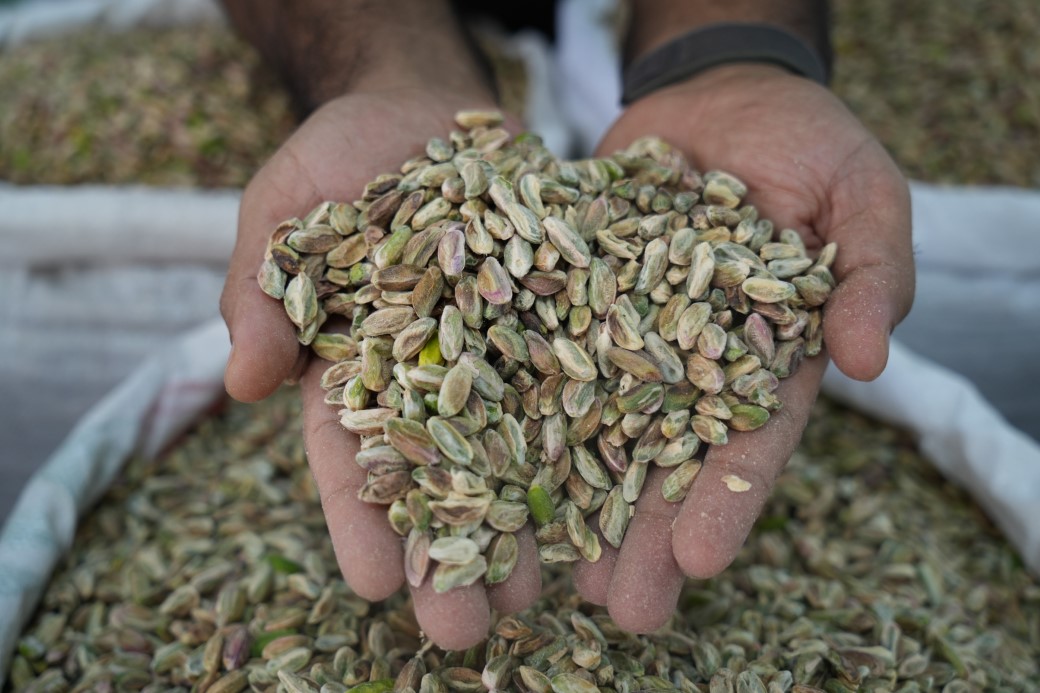 Antep fıstığına ithalat izni çıkıcınca fiyatlar ve satışlar düştü