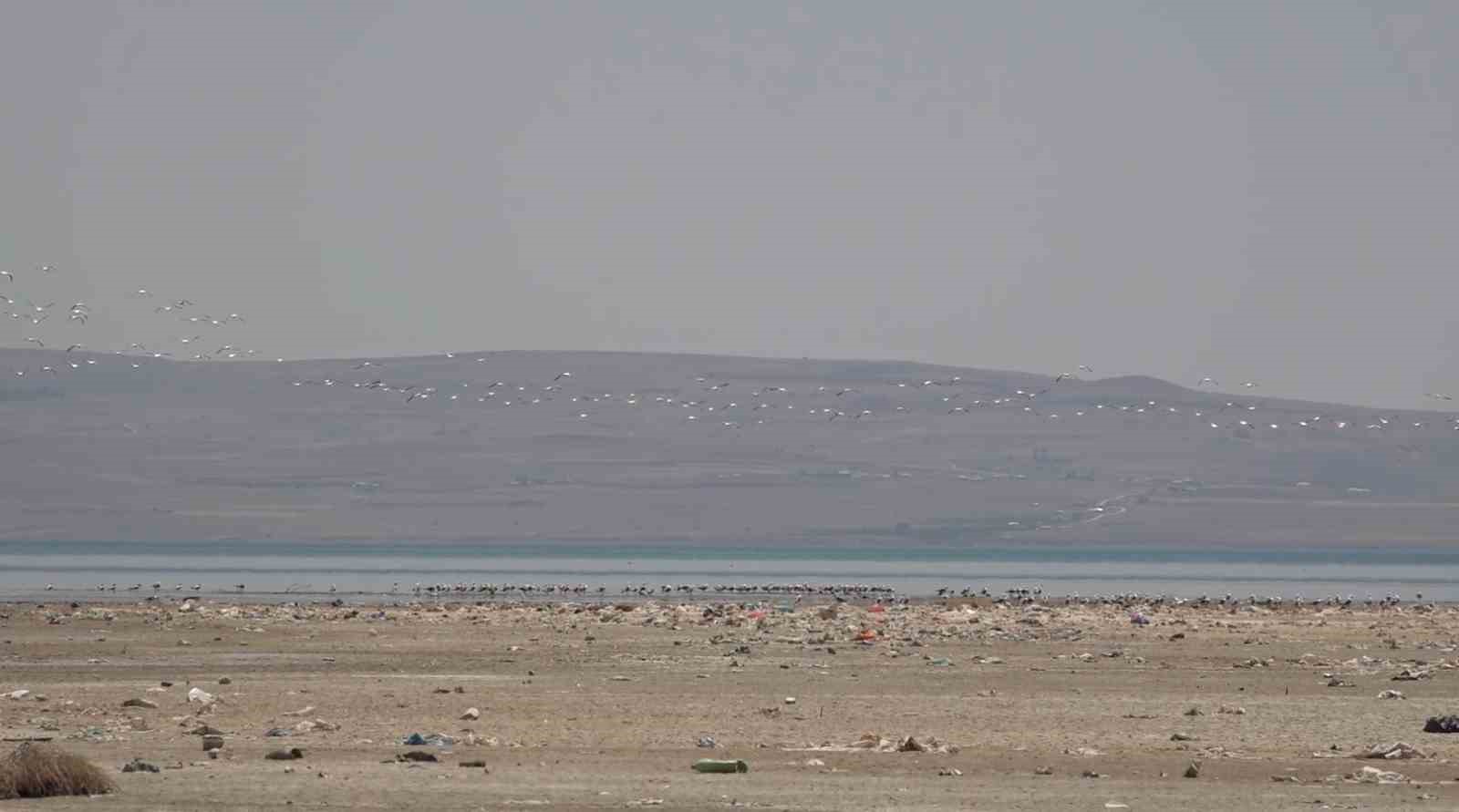 Van Gölü Havzası misafirlerini ağırlıyor