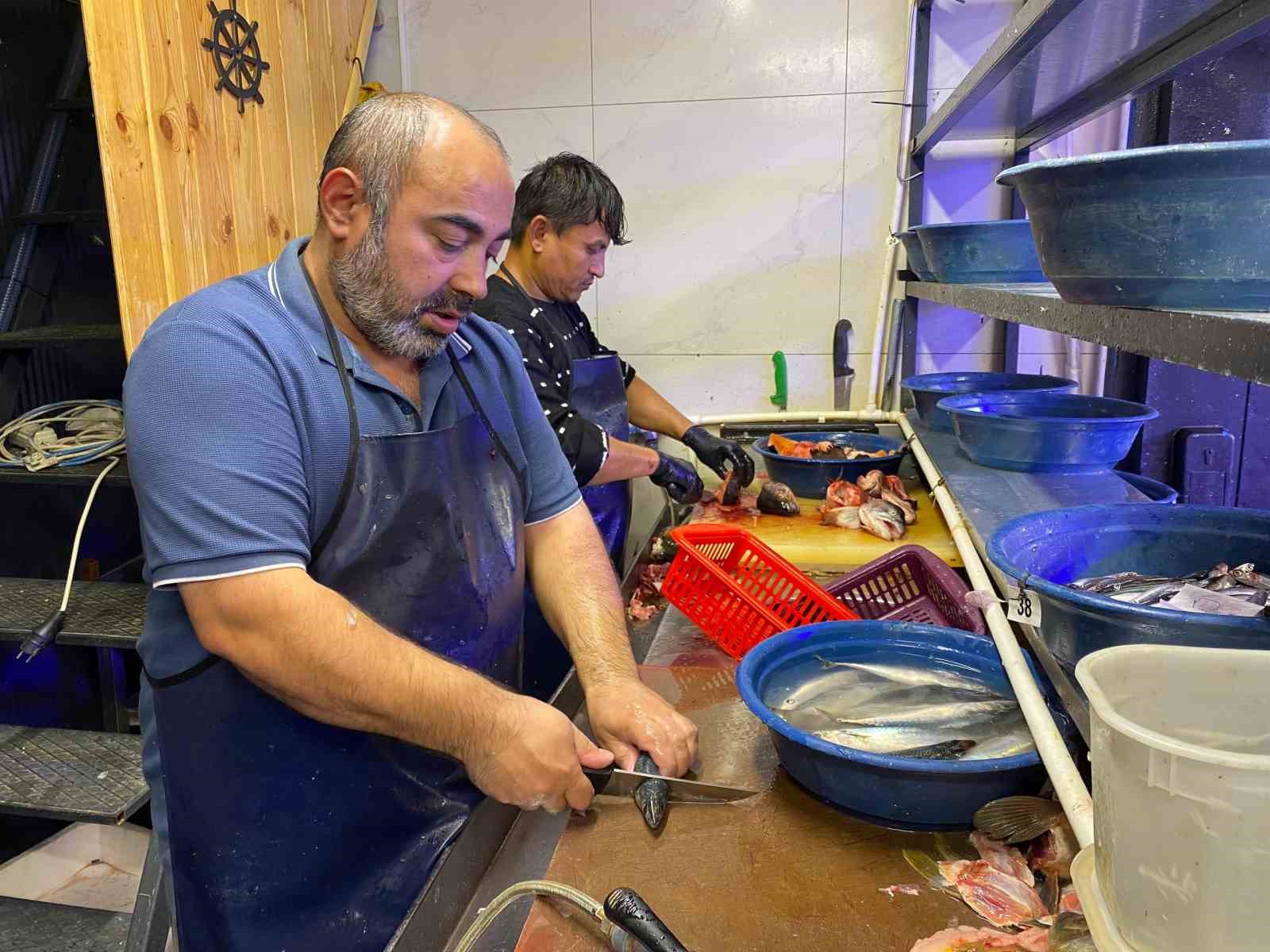 Balık sezonu bu yıl bereketli başladı