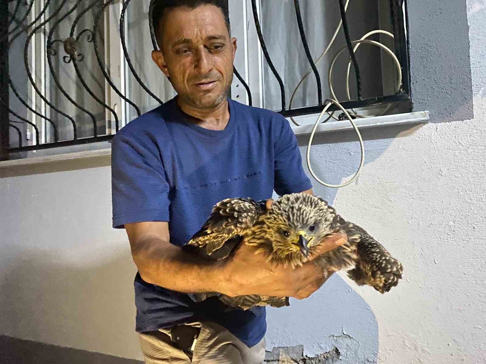 Bitkin Halde Bulduğu Şahine Ciğer Dürüm Ismarladı