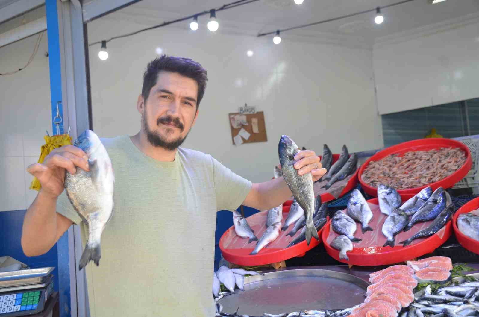 Bu yıl tezgahların şampiyonu sardalya oldu