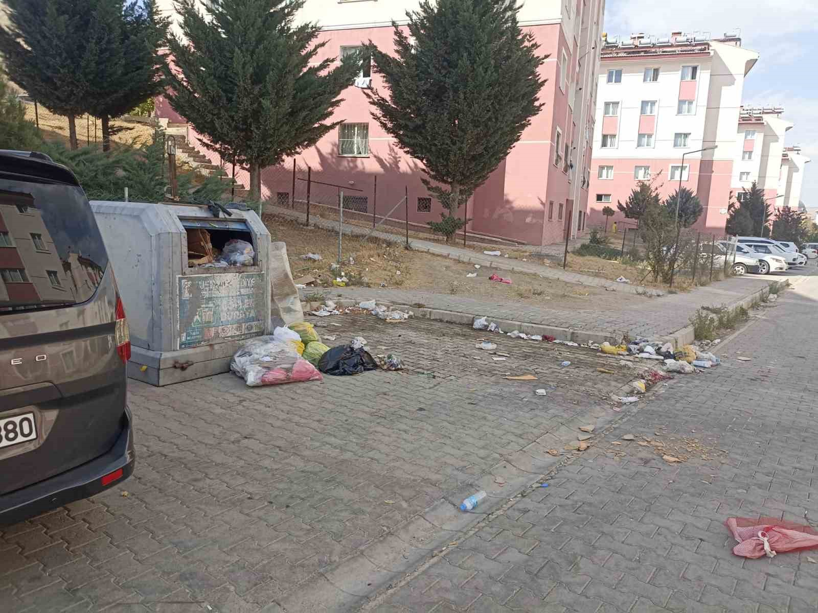 Van’ın Kalecik Mahallesi’nde Yol ve Temizlik Sorunu