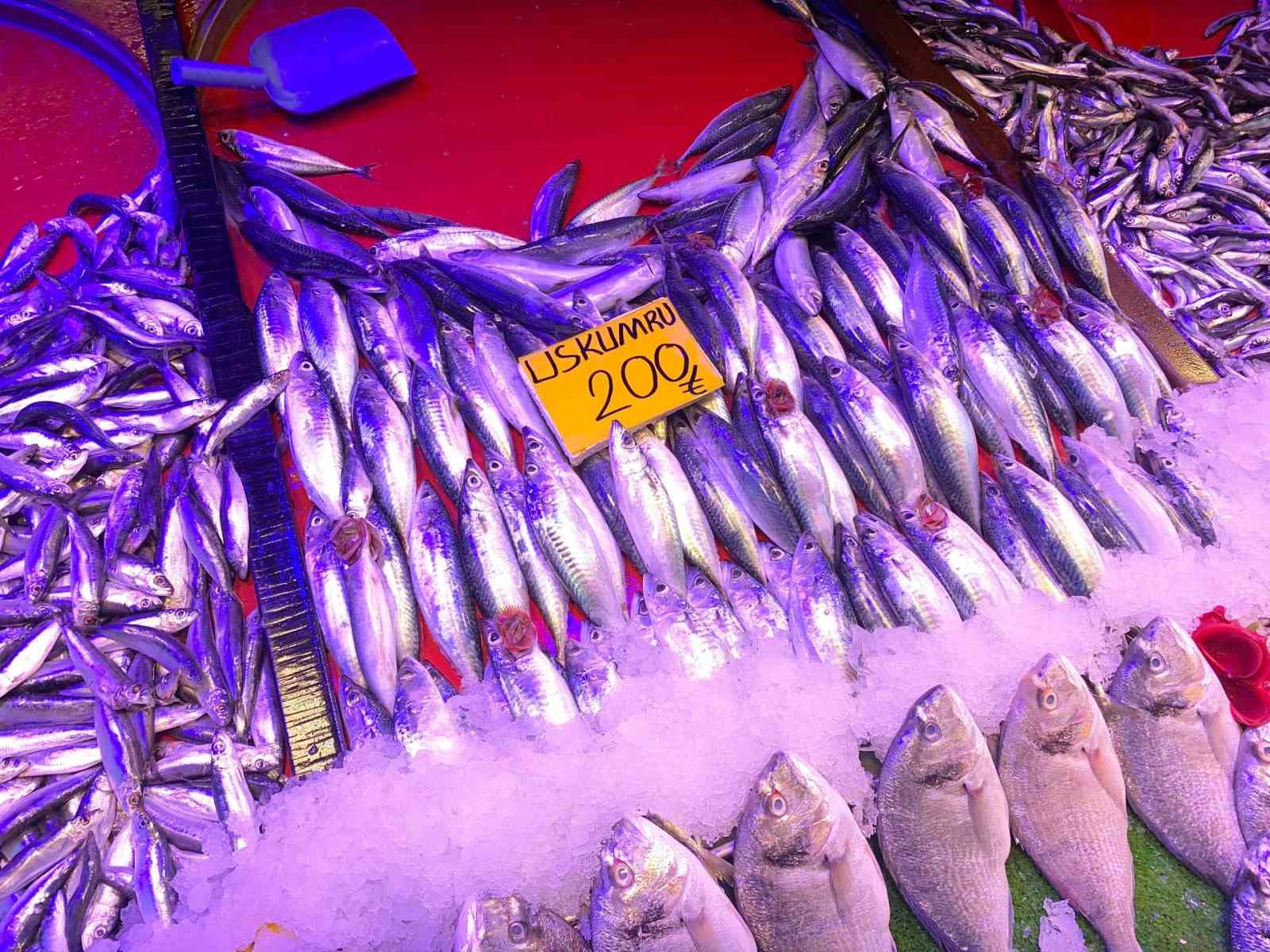 Balık sezonu bereketli başladı
