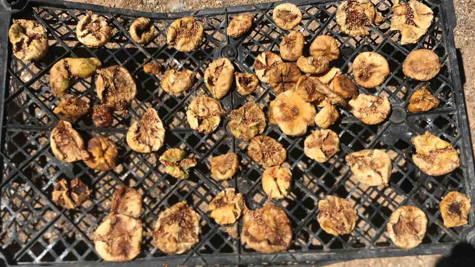 Uzun kış gecelerinde tüketmek için meyveler kurutuluyor