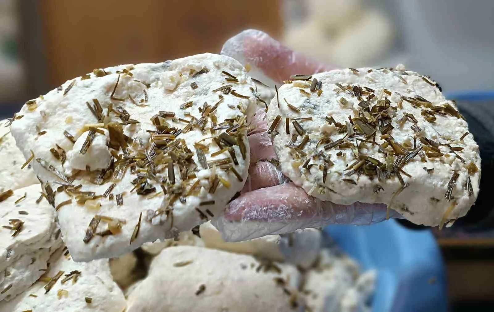 Van’ın tescilli lezzeti küp otlu peyniri toprak altından çıkarılmaya başlandı