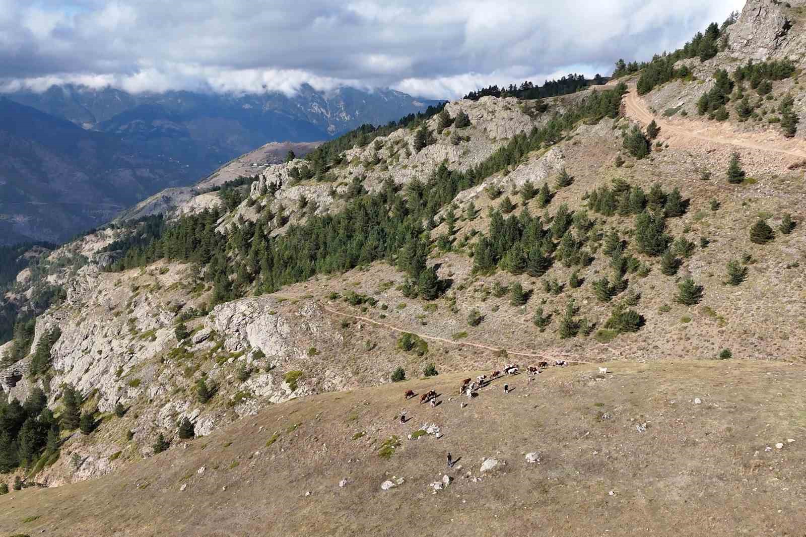 Genç muhtarın Türkiye’ye ilham veren başarı hikayesi