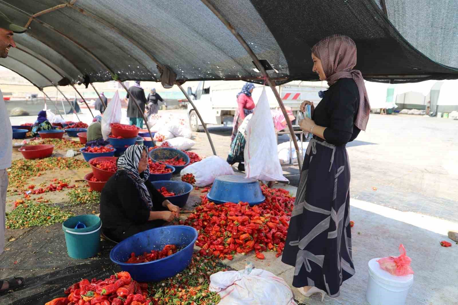 Mevsimlik tarım işçilerine mobil sağlık hizmeti