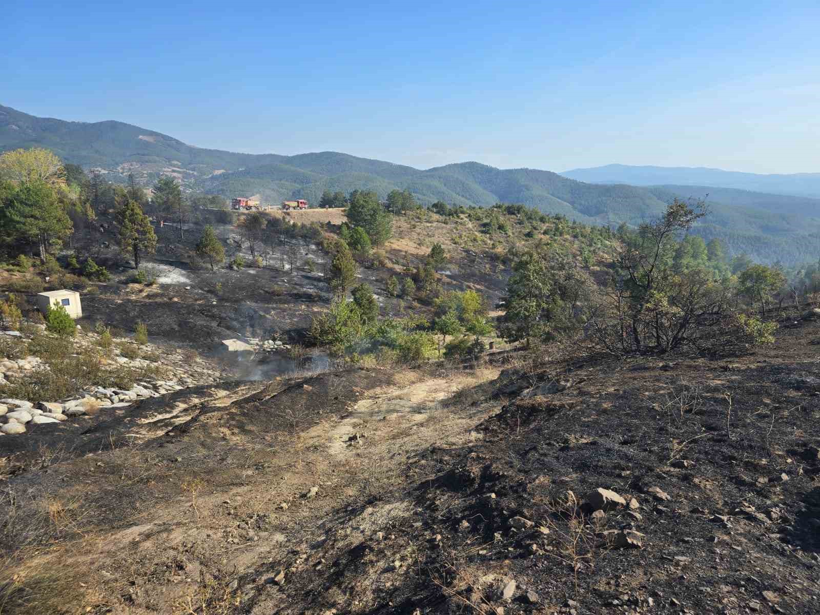 Ormanda piknik keyfi, faciaya neden oluyordu…