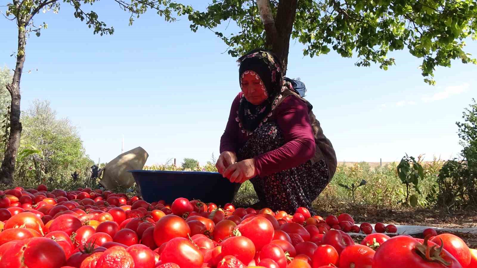 Üç yıl ömürlü ev yapımı salçalar pişirilmeye başlandı