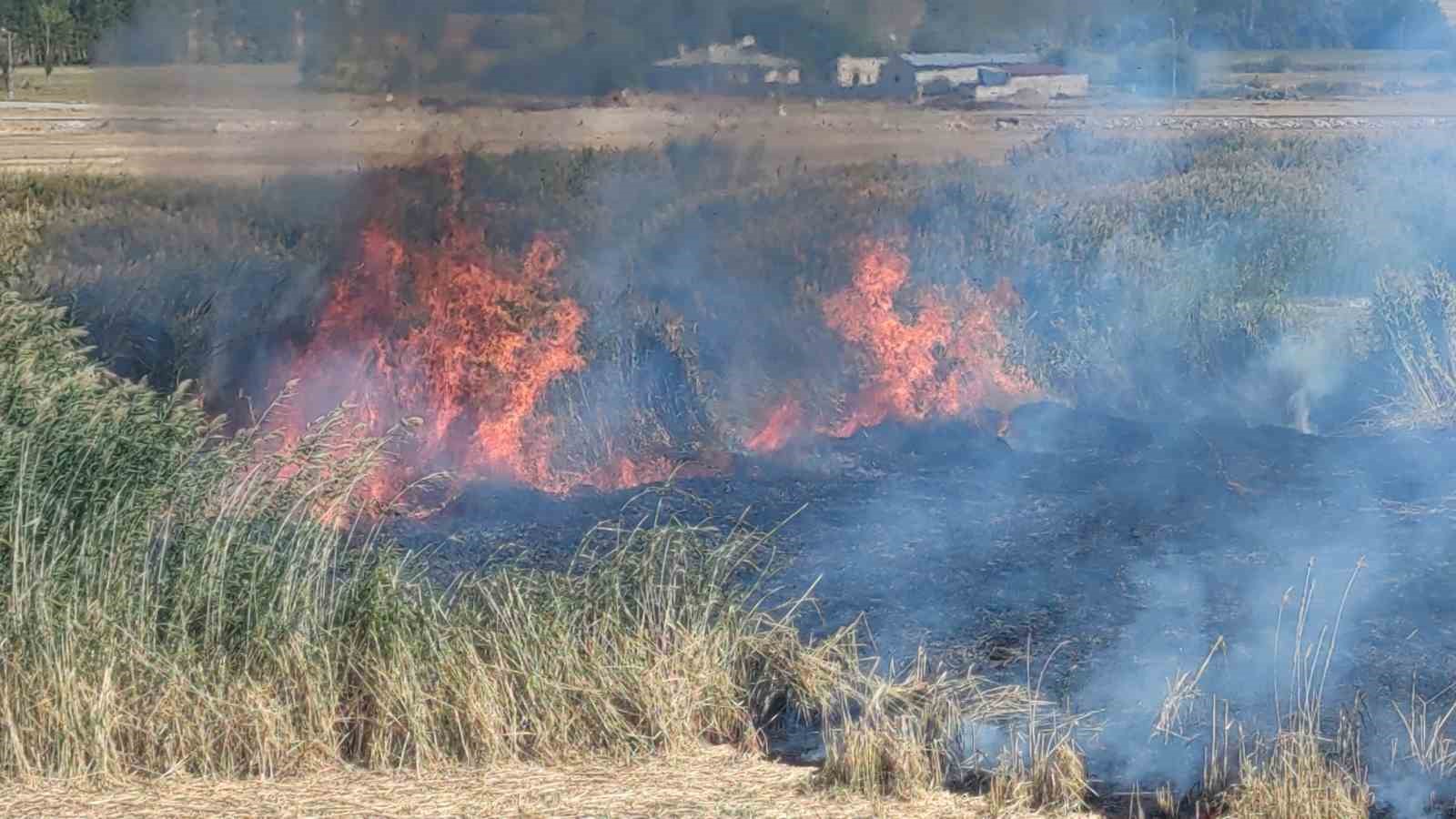 Göçmen kuşların Van’daki yuvası alevlere teslim oldu