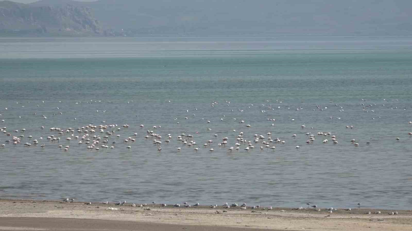 Van Gölü Havzası misafirlerini ağırlıyor