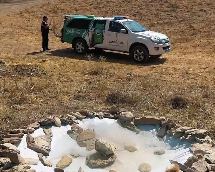 Van’da yaban hayvanları için minik su havuzları yapıldı