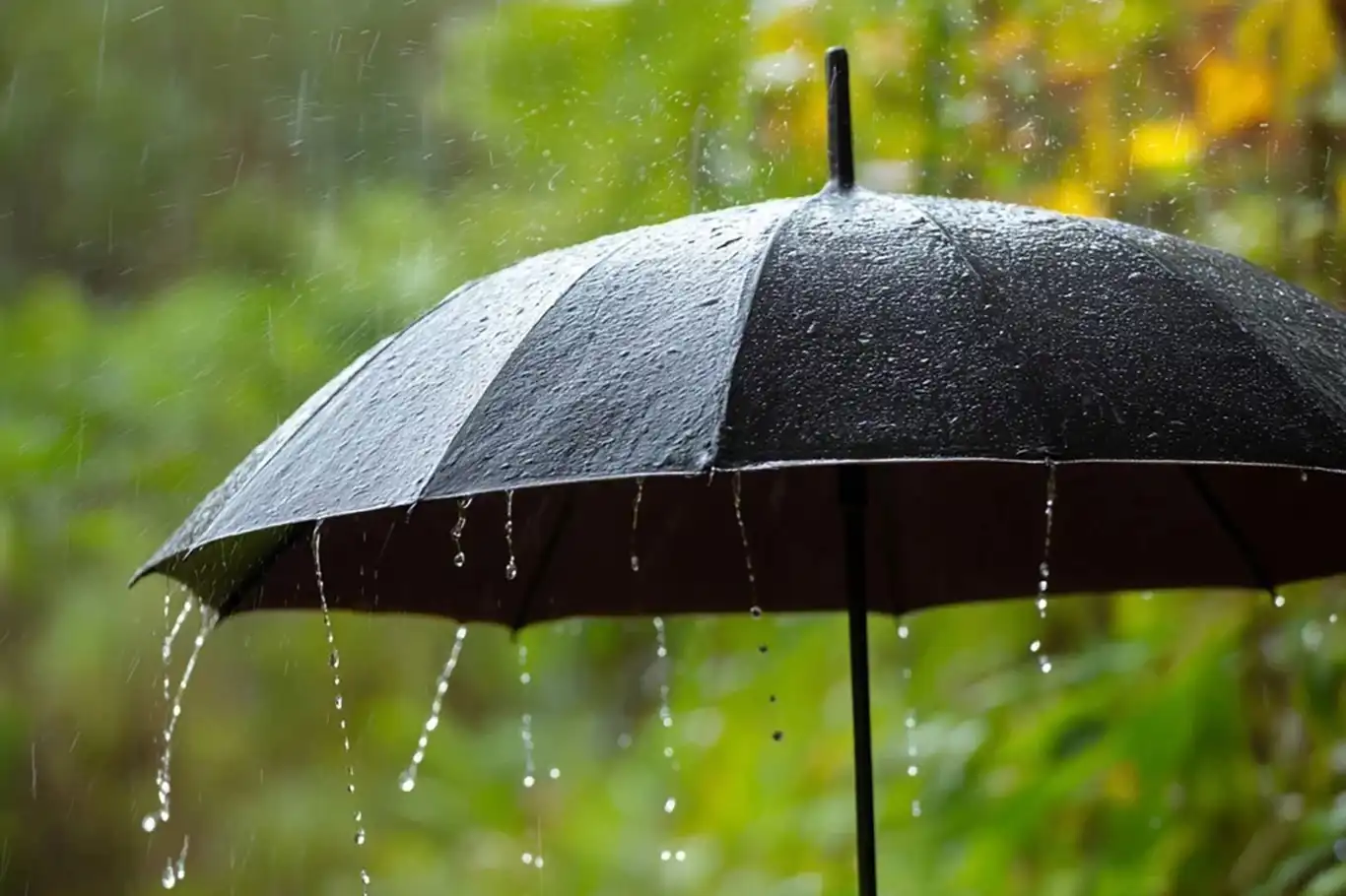 Van’da bugün yağış bekleniyor mu?