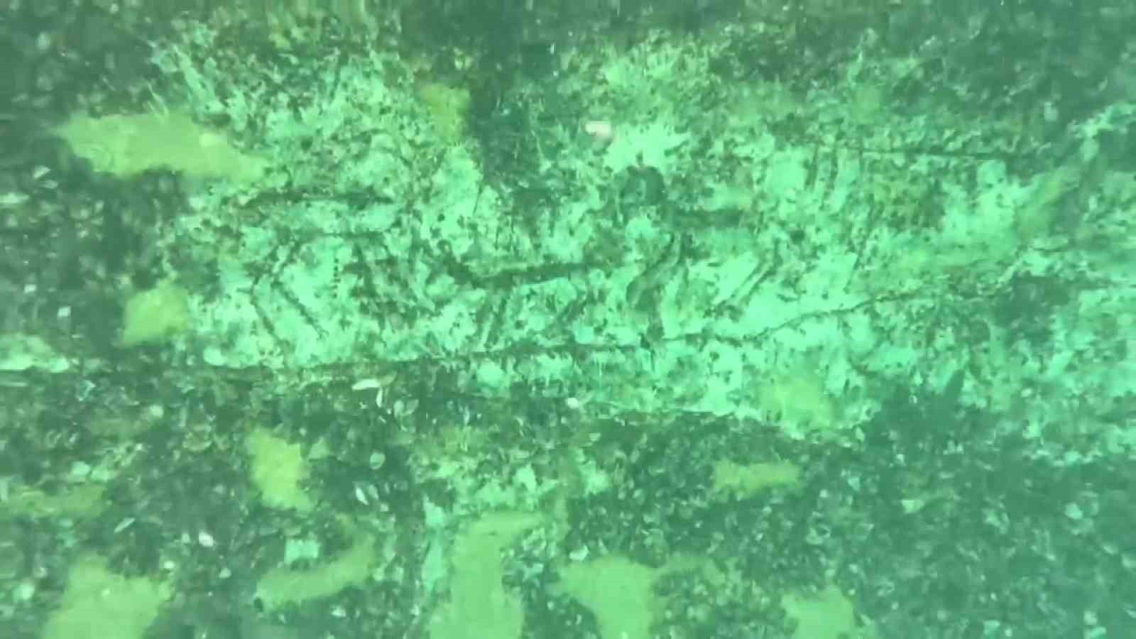 12 bin yıllık kaya resimleri su altında görüntülendi