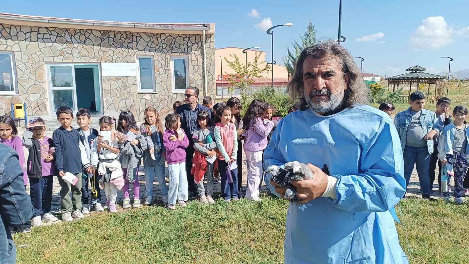 Van’da 
