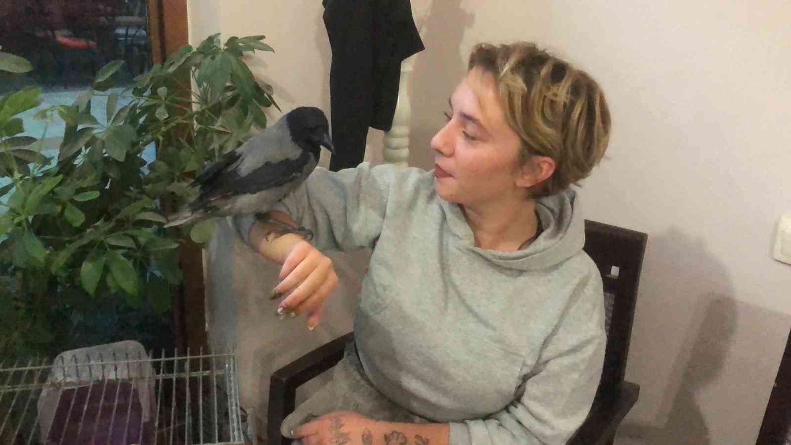 Kahvehane bağımlısı karga mahallenin maskotu haline geldi