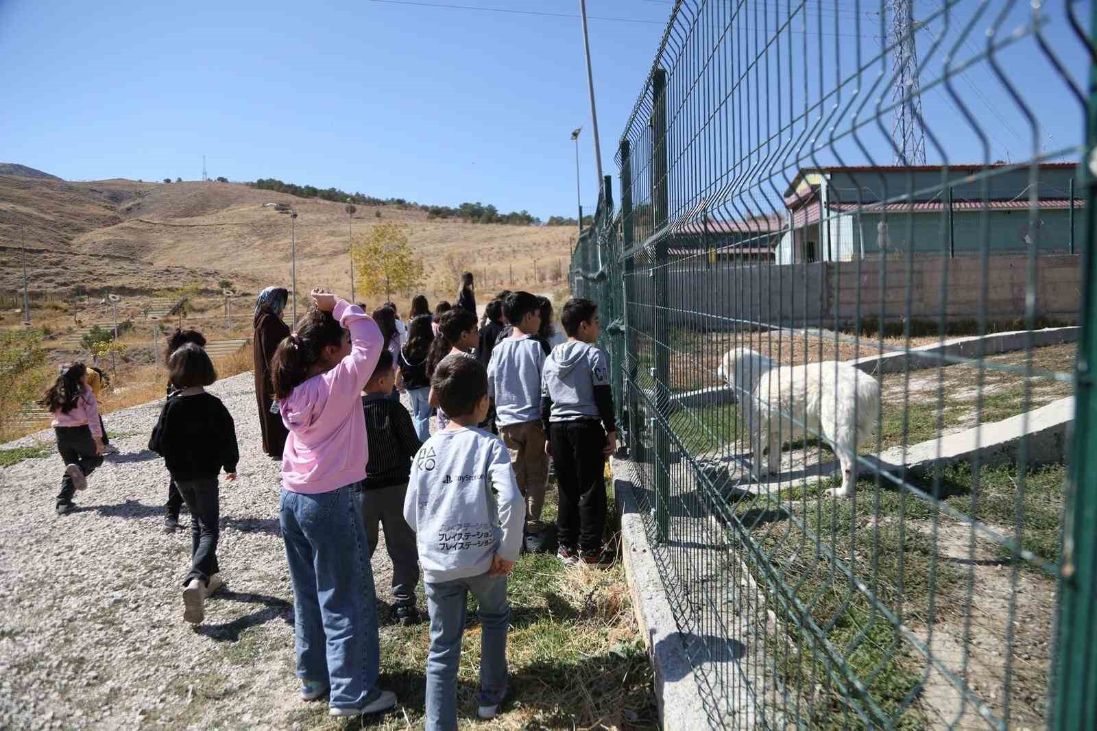 Van’da minik öğrenciler patili dostlarını ziyaret etti
