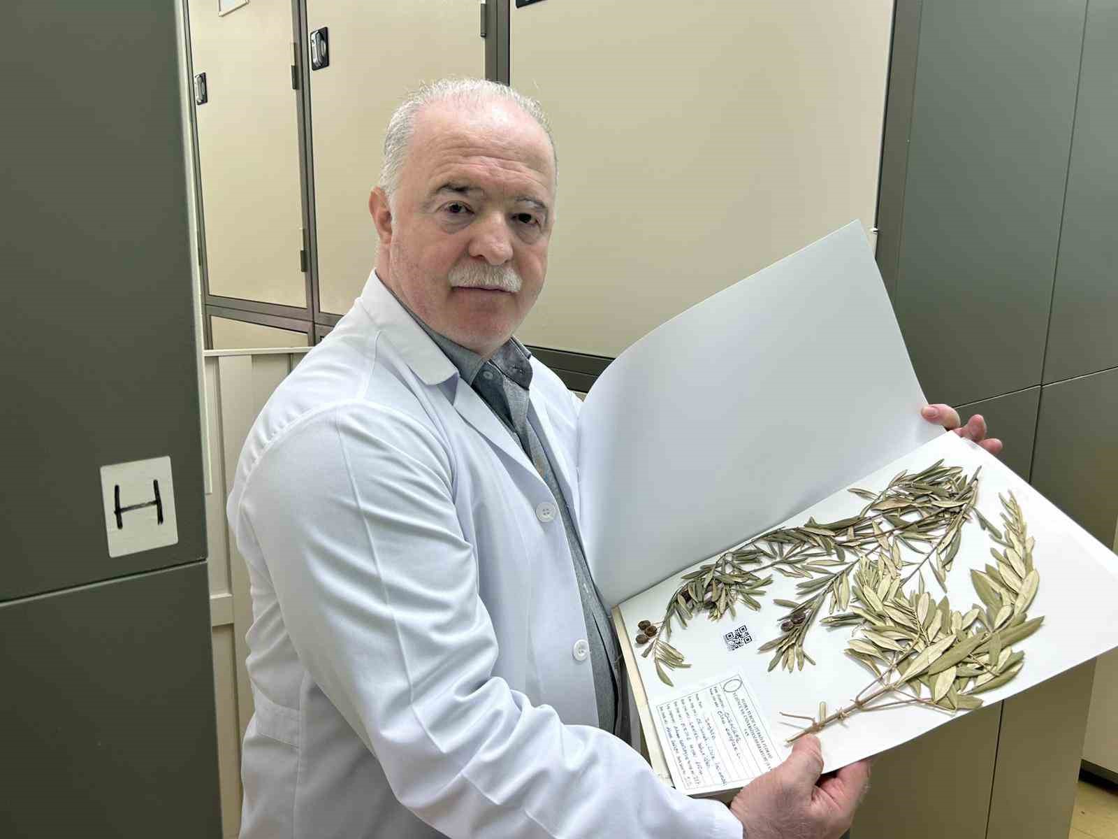 YYÜ’lü Profesörden Bilim Dünyasını Heyecanlandıran Keşif