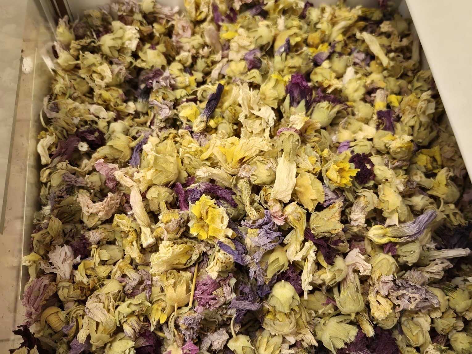 Kışın bağışıklık destekçileri: Zencefil, propolis, kara mürver ve karadut pekmezleri