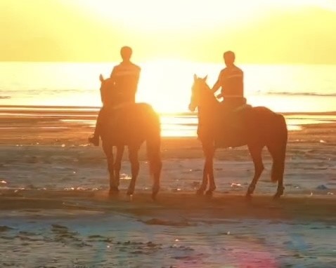 Van Gölü’nde yasa dışı avcılığa karşı Atlı Jandarma önlemi