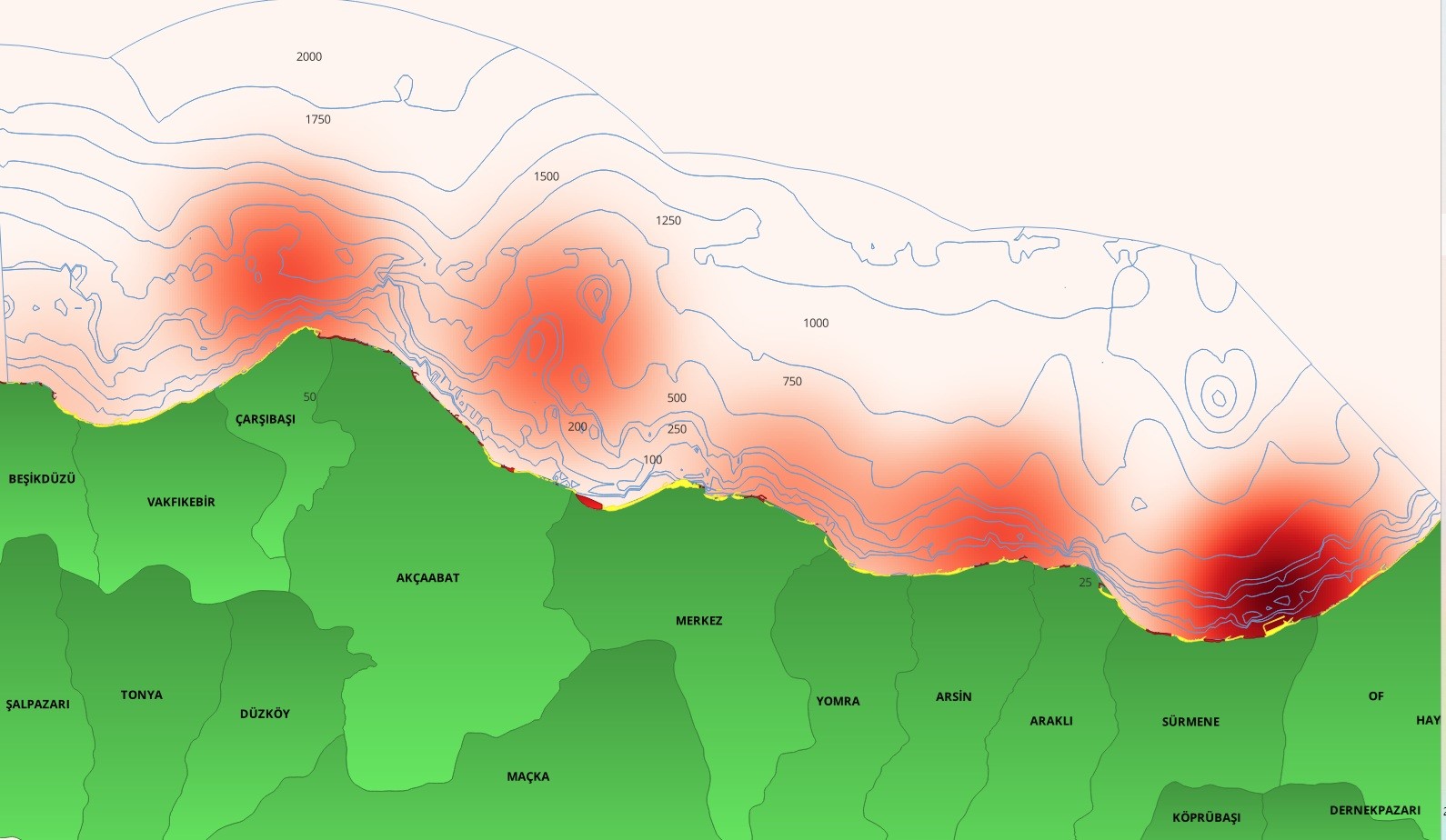 Denizlerin sessiz katili: Hayalet ağlar