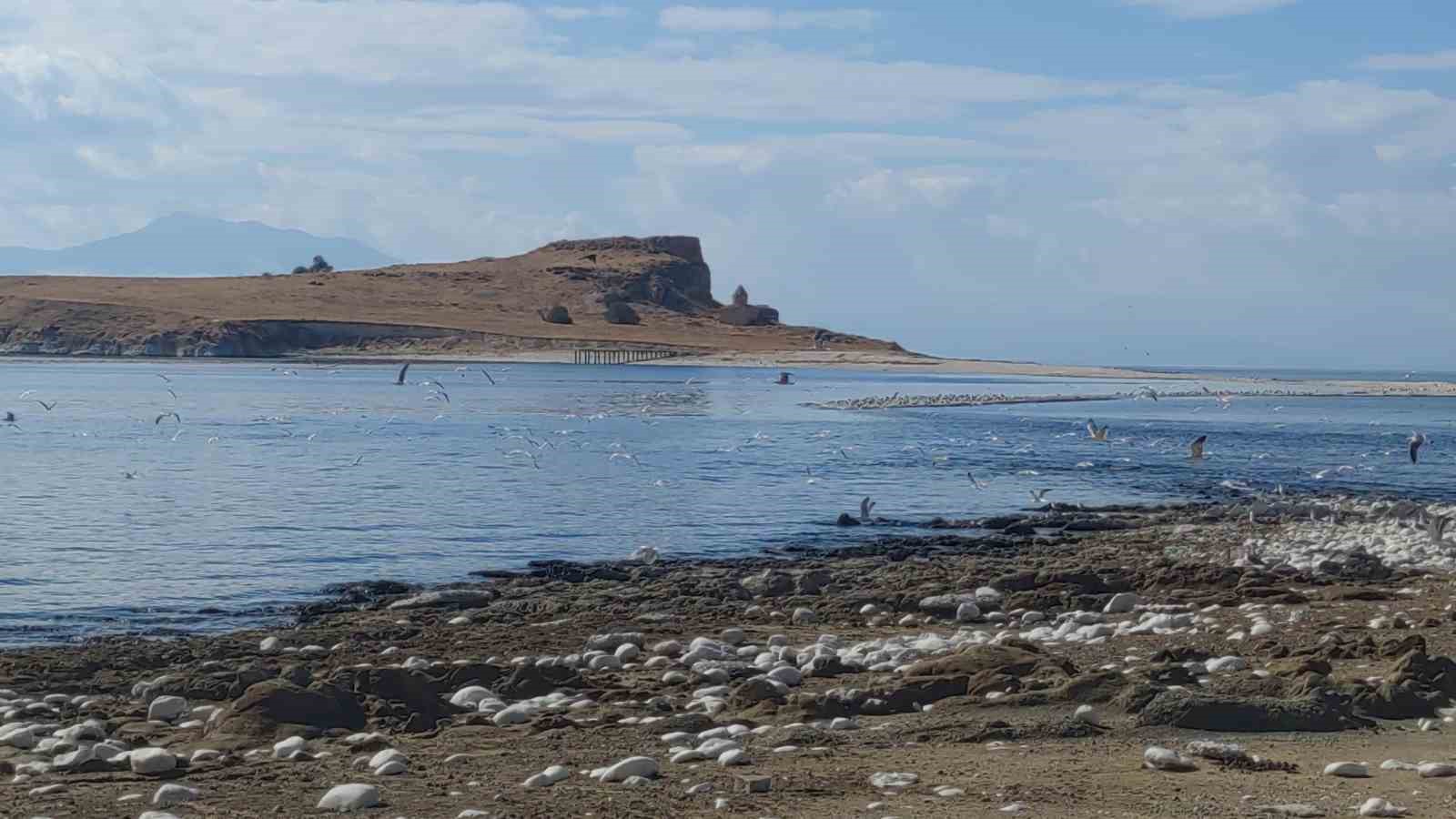 Van Gölü’nde su seviyesi düştü, Çarpanak Adası’na giden antik yol ortaya çıktı