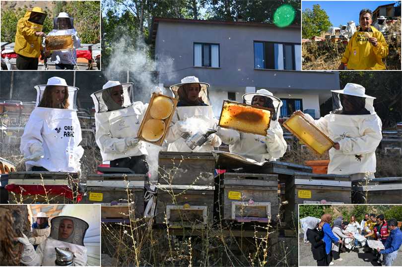 Bahçesaraylı kadınlar organik bal üretiminde örnek oldu