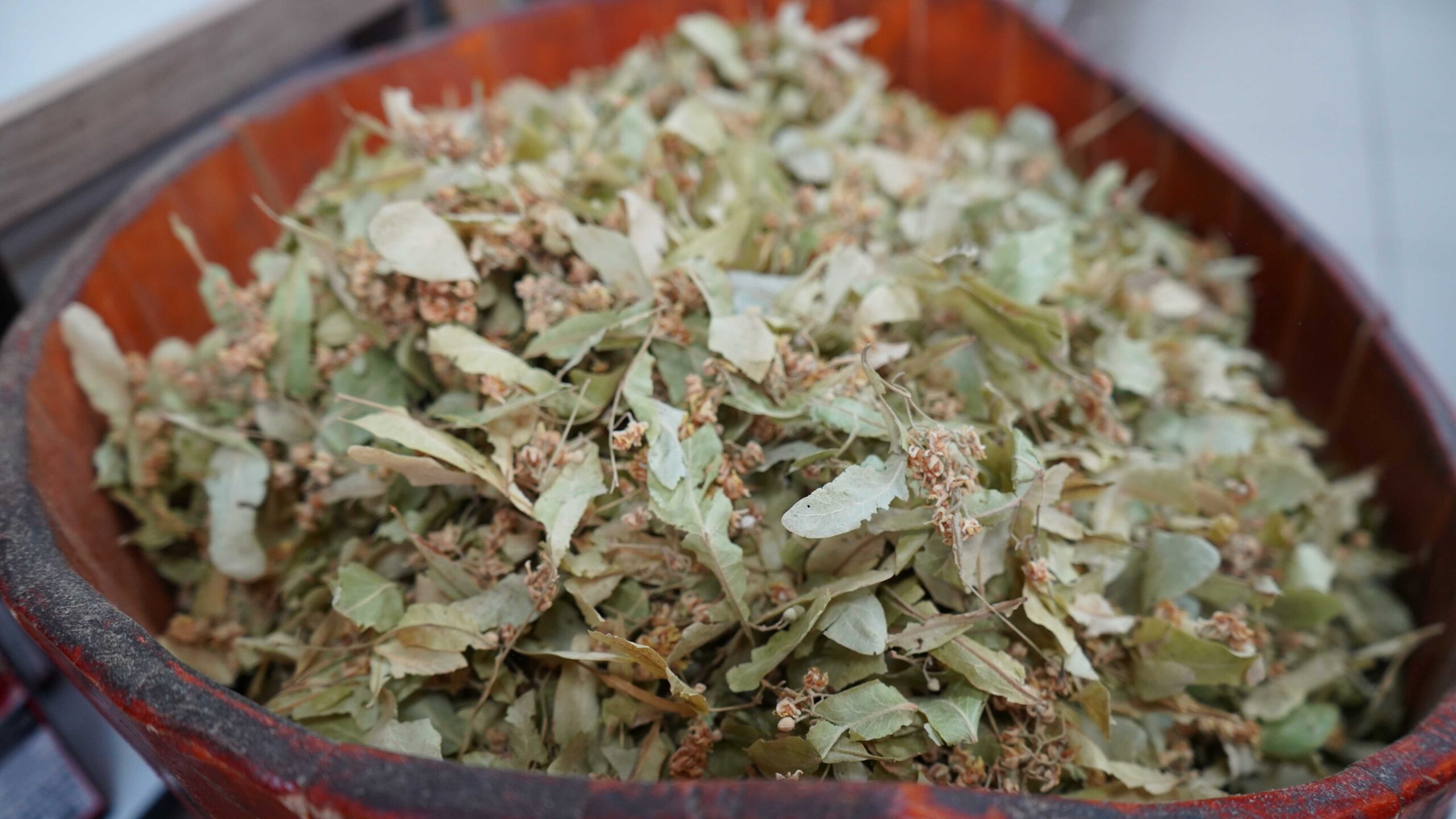 Kışın vazgeçilmezi ıhlamur cep yakıyor: Kilosu 2 bin TL’ye dayandı